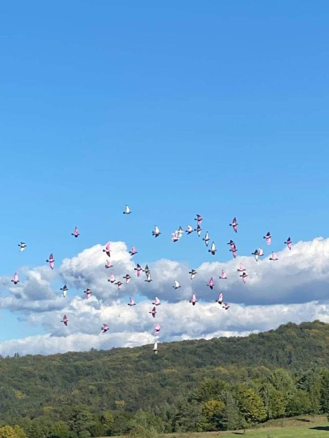 Pensiunea Gradina Ascunsa Bughea de Jos Exteriör bild