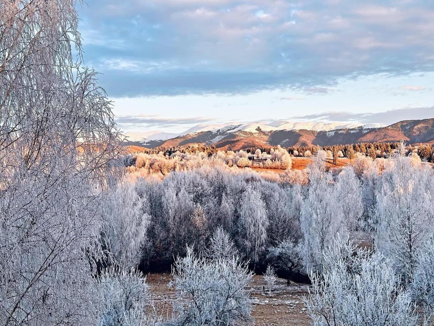 Pensiunea Gradina Ascunsa Bughea de Jos Exteriör bild