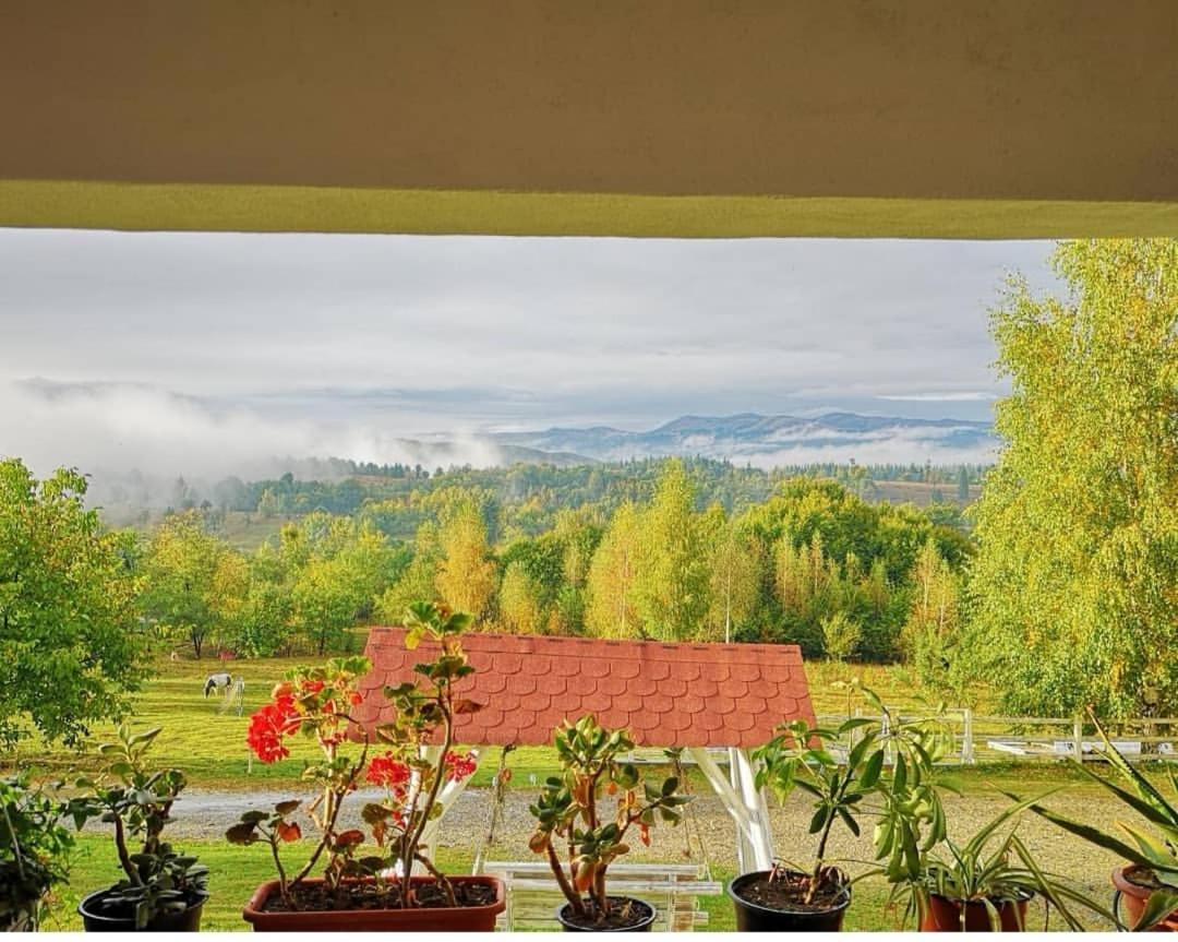 Pensiunea Gradina Ascunsa Bughea de Jos Exteriör bild